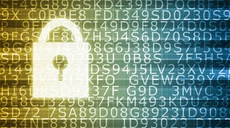 The Netherlands: Cabinet launched position on encryption