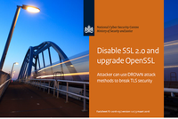 The Netherlands - NCSC publishes factsheet Disable SSL 2.0 and upgrade OpenSSL 