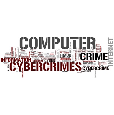Computer crimes