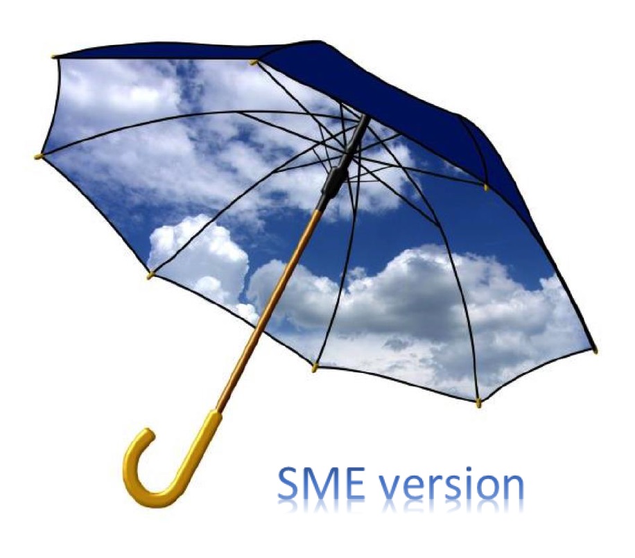 Security Guide for SMEs